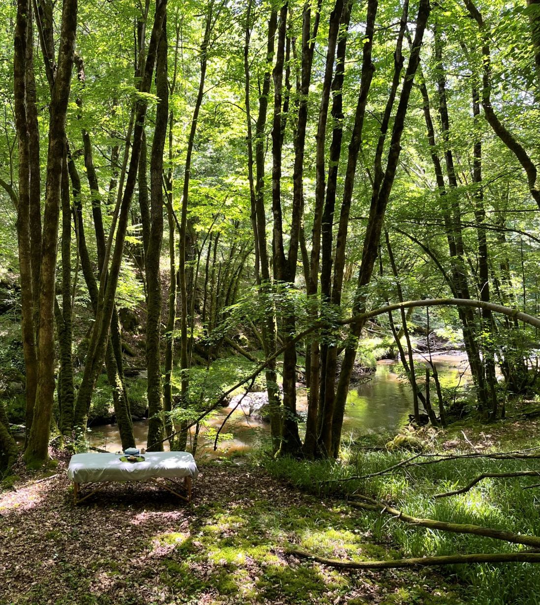Séance de massage énergétique EMTE à Forest pour libérer les émotions